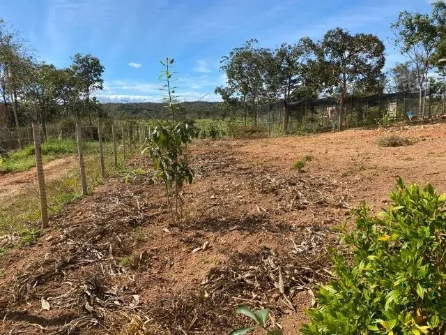 Imagem 10: Sitio 1.800M², Construção Nova, Acabamento de Primeira Linha, 2 Km do Asfalto