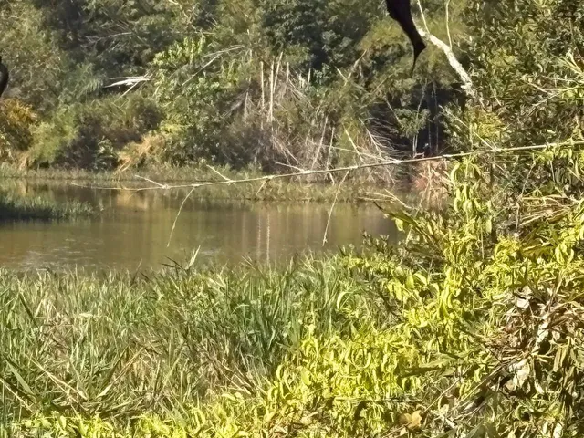 Imagem: 2 Hectares