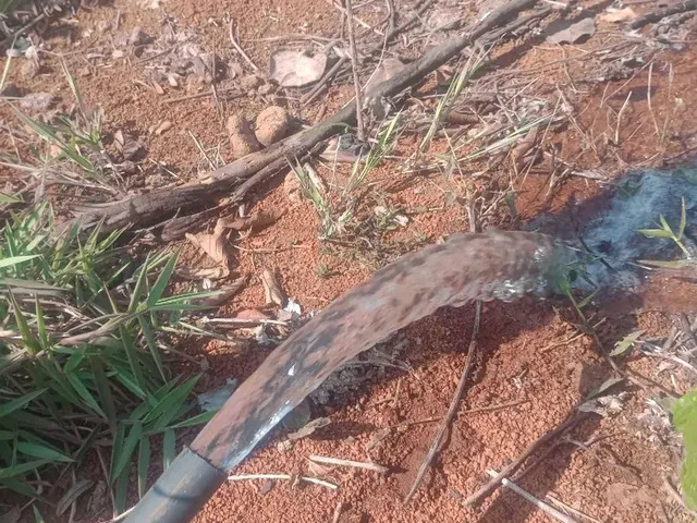 Imagem 3: Vendo Chácara Excelente Localização