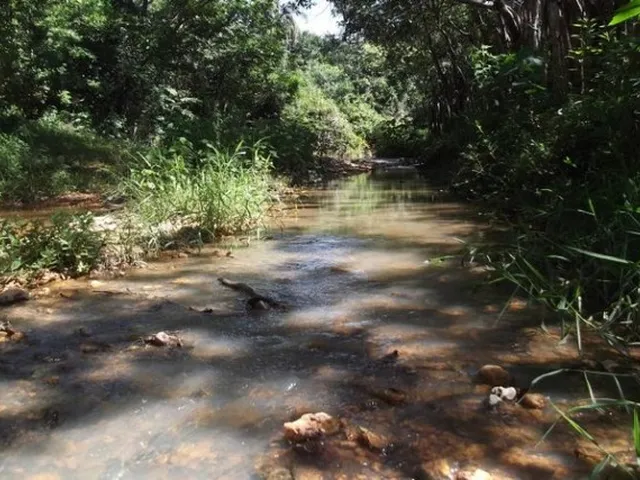 Imagem 5: Lindo Sitio com Área de 10.000 M², Jaboticatubas (Temos Varias Opções)