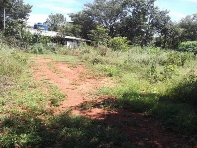 Imagem 7: Lindo Sitio com Área de 10.000 M², Jaboticatubas (Temos Varias Opções)