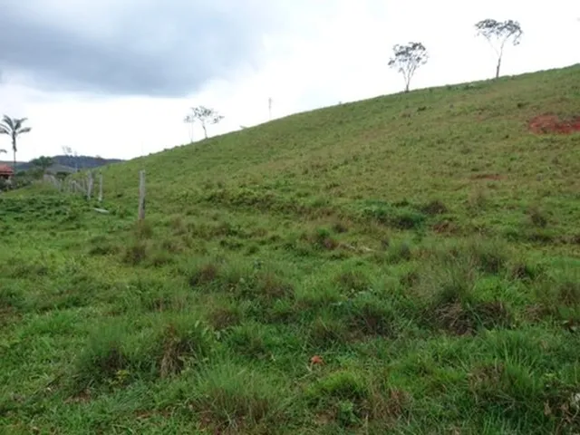 Imagem: Terreno 13 Ha,Com Casa, Água por Gravidade,Nascente,Serra