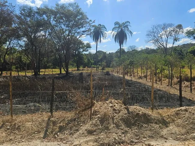 Imagem: Lote em Esmeraldas