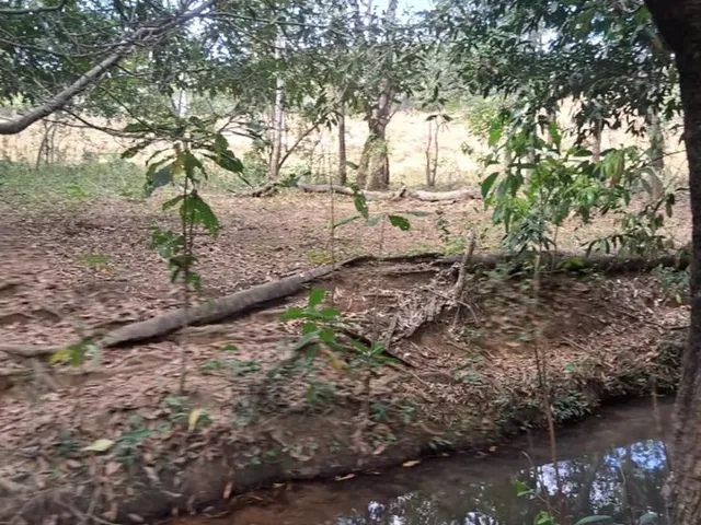 Imagem: Terrenos 20.000M2 em Baldim