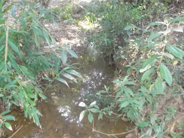 Imagem 7: Jaboticatubas Sítio de 4600M, C Mina Dágua Casa com 2 Quartos.whataap * Guilherme