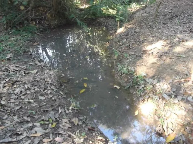 Imagem 3: Jaboticatubas Sítio de 4600M, C Mina Dágua Casa com 2 Quartos.whataap * Guilherme