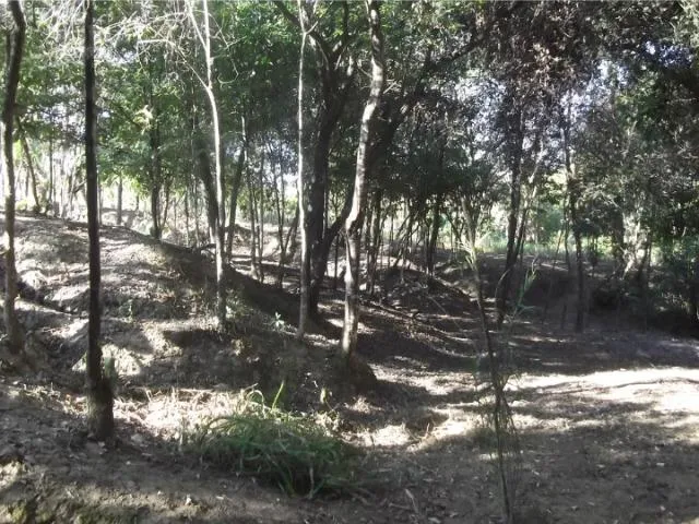 Imagem 6: Jaboticatubas Sítio de 4600M, C Mina Dágua Casa com 2 Quartos.whataap * Guilherme
