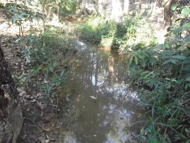 Imagem 2: Jaboticatubas Sítio de 4600M, C Mina Dágua Casa com 2 Quartos.whataap * Guilherme