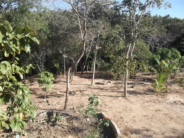 Imagem 8: Jaboticatubas Sítio de 4600M, C Mina Dágua Casa com 2 Quartos.whataap * Guilherme