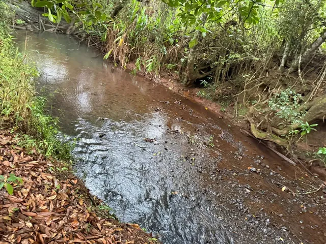 Imagem: Terreno Rural com Muita Água