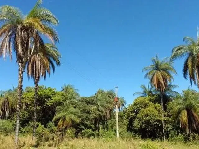 Imagem: Chácaras a Partir de 700M² a 1.800M²