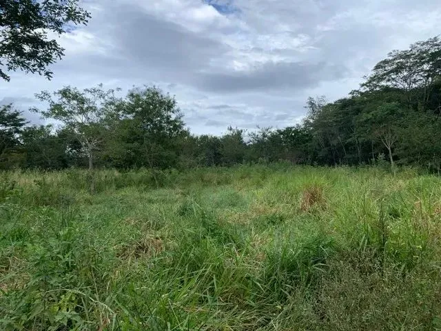 Imagem 2: Sitio 80.000M², com Casa, Rio nos Fundos, Poço Artesiano, Barracão de Caseiro, Baldim