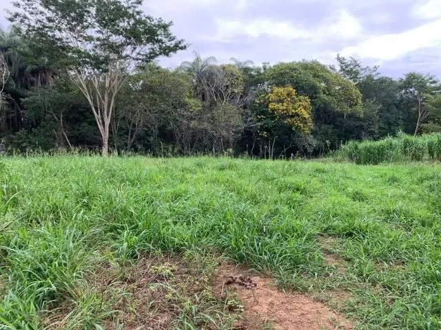 Imagem 3: Sitio 80.000M², com Casa, Rio nos Fundos, Poço Artesiano, Barracão de Caseiro, Baldim