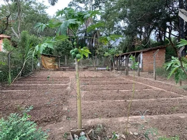 Imagem 4: Sitio 80.000M², com Casa, Rio nos Fundos, Poço Artesiano, Barracão de Caseiro, Baldim