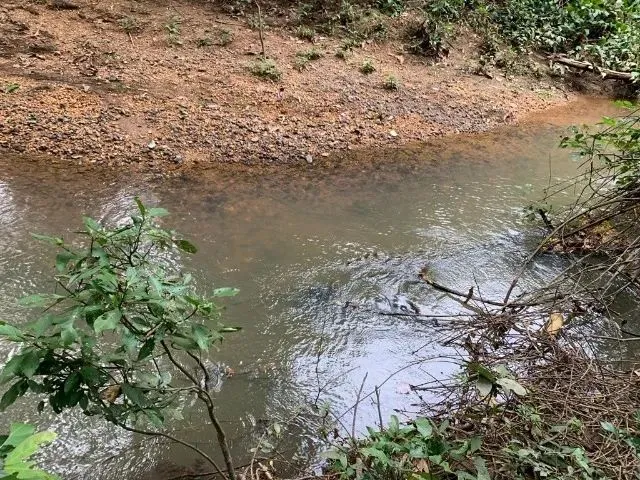 Imagem 5: Sitio 80.000M², com Casa, Rio nos Fundos, Poço Artesiano, Barracão de Caseiro, Baldim