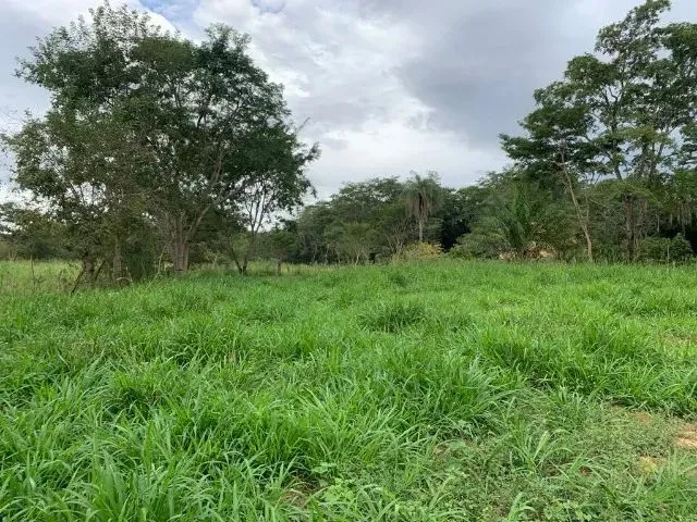 Imagem 8: Sitio 80.000M², com Casa, Rio nos Fundos, Poço Artesiano, Barracão de Caseiro, Baldim