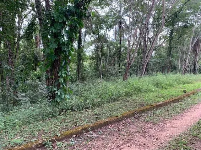 Imagem 15: Sitio 80.000M², com Casa, Rio nos Fundos, Poço Artesiano, Barracão de Caseiro, Baldim