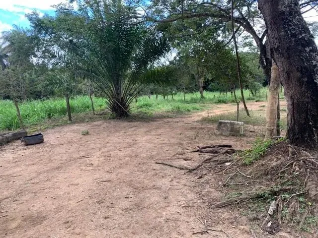 Imagem 10: Sitio 80.000M², com Casa, Rio nos Fundos, Poço Artesiano, Barracão de Caseiro, Baldim