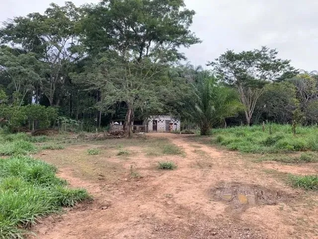 Imagem 14: Sitio 80.000M², com Casa, Rio nos Fundos, Poço Artesiano, Barracão de Caseiro, Baldim
