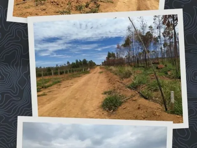 Imagem 1: Oportunidade! Lote de 2000 Metros Totalmente Plano