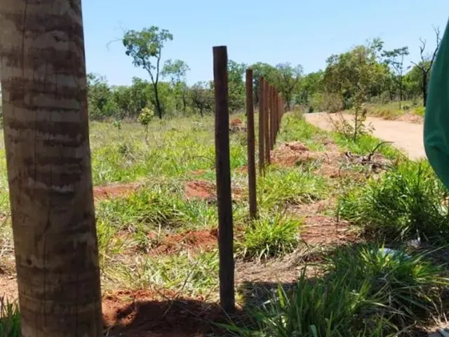 Imagem 7: Oportunidade! Lote de 2000 Metros Totalmente Plano