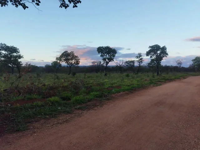 Imagem 9: Oportunidade! Lote de 2000 Metros Totalmente Plano