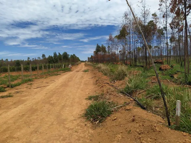 Imagem 11: Oportunidade! Lote de 2000 Metros Totalmente Plano
