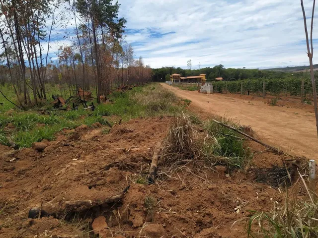 Imagem 12: Oportunidade! Lote de 2000 Metros Totalmente Plano