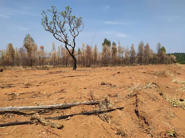 Imagem 15: Oportunidade! Lote de 2000 Metros Totalmente Plano