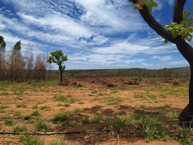 Imagem 16: Oportunidade! Lote de 2000 Metros Totalmente Plano