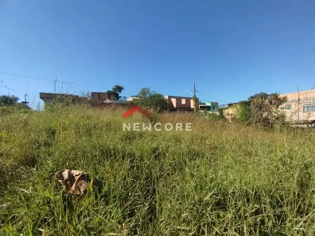 Imagem: Lote em Avenida Anel - Belvedere - Ribeirão