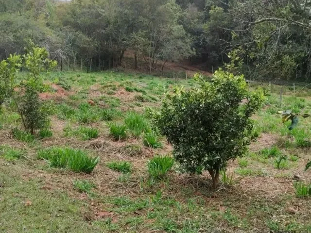 Imagem: Vende -Se Chacara, 1200Mt2 Seio de Abrao