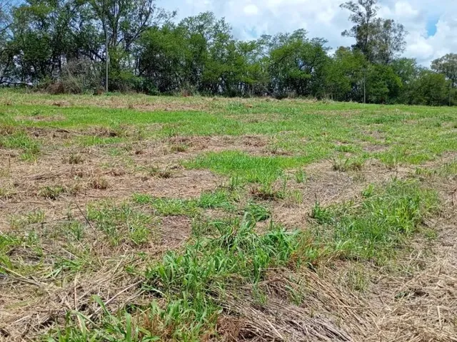 Imagem: Fazendinhas Rurais em Juatuba
