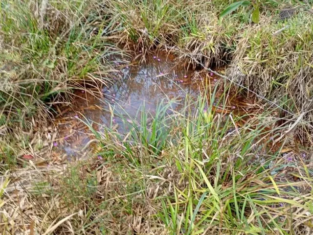 Imagem 9: Terreno em Serra Azul Mateus Leme