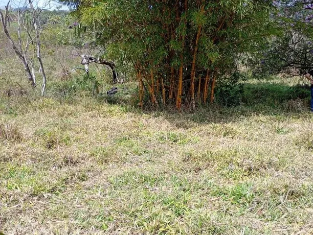 Imagem 10: Terreno em Serra Azul Mateus Leme