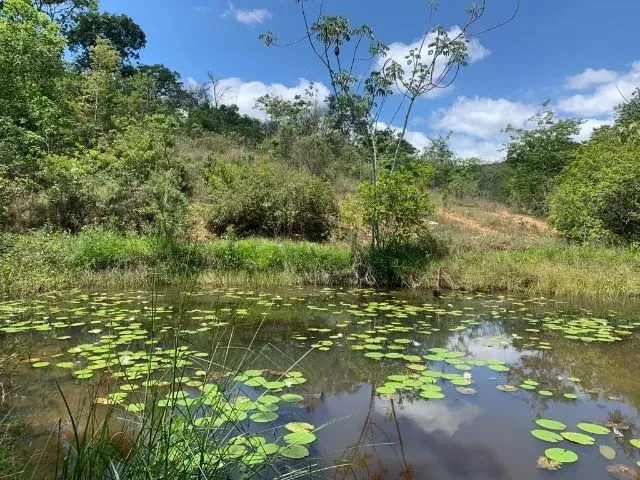 Imagem 1: Terreno Rural 7.8Ha, Casa Antiga, Barracão, Arvores Frutíferas, 2 Nascentes,2 Lagoas