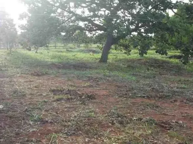 Imagem: Lote 1.000M² Perto de Varias Cachoeiras