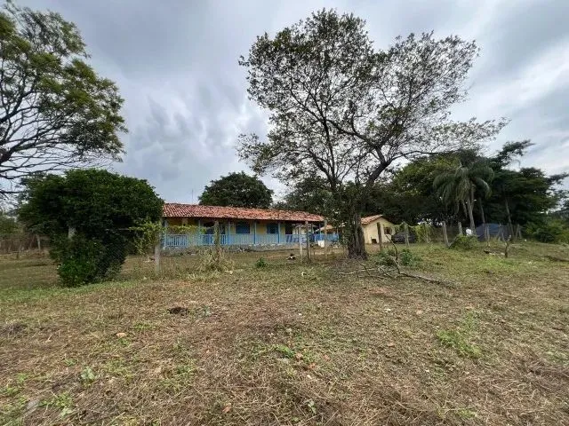 Imagem: Fazenda 21 Ha, com Casa, Sede e Duas Casa