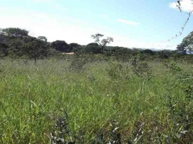 Imagem: Chácara 1.00M² para Morar Ou Investir