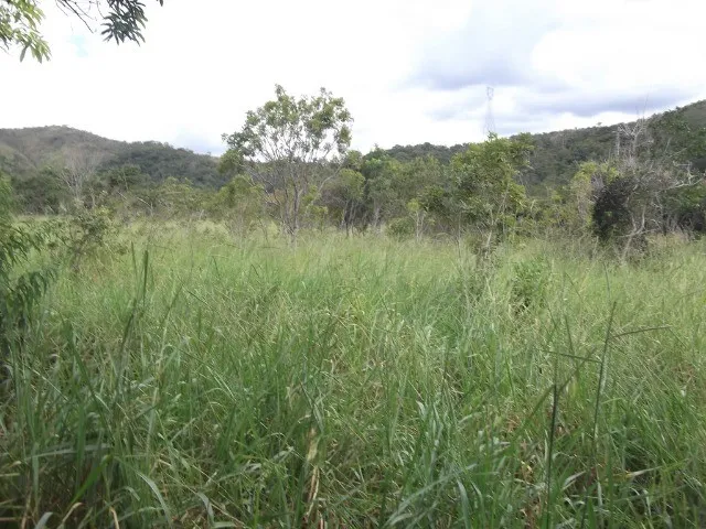Imagem: Chácaras 1.000M² as Margens do Rio Cipó