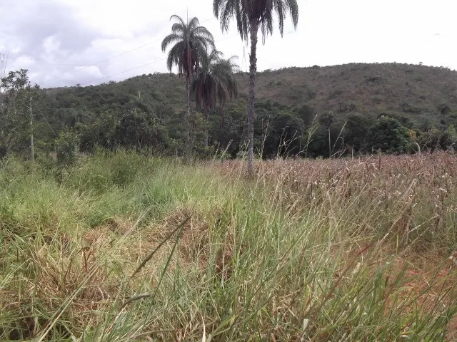 Imagem 11: Chácaras 1.000M² as Margens do Rio Cipó, com Água e Luz (Temos Varias Opções)