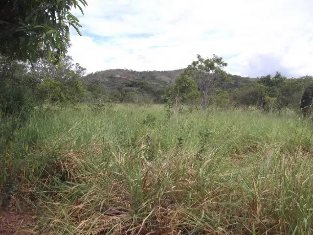 Imagem 3: Chácaras 1.000M² as Margens do Rio Cipó, com Água e Luz (Temos Varias Opções)