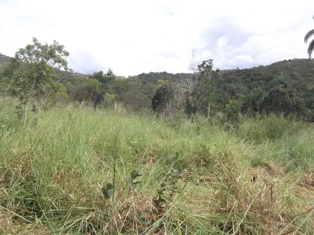 Imagem 7: Chácaras 1.000M² as Margens do Rio Cipó, com Água e Luz (Temos Varias Opções)