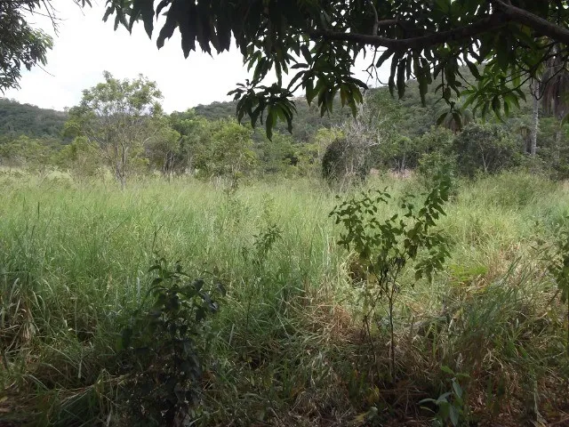 Imagem 9: Chácaras 1.000M² as Margens do Rio Cipó, com Água e Luz (Temos Varias Opções)