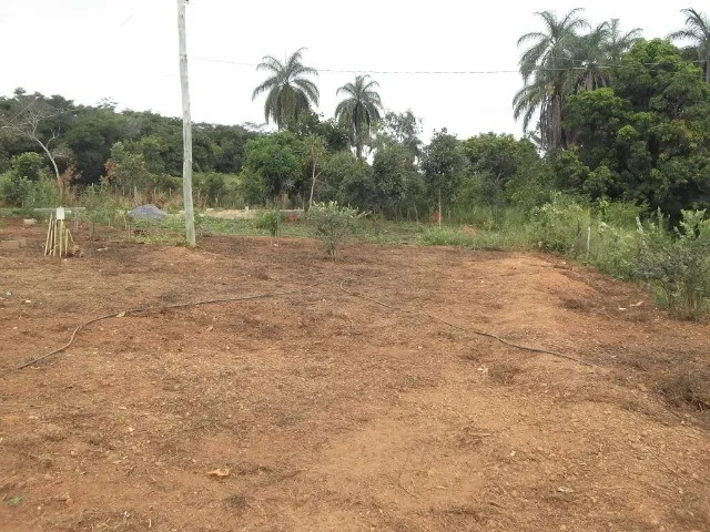 Imagem 2: Chácaras 1.000M² as Margens do Rio Cipó, com Água e Luz (Temos Varias Opções)