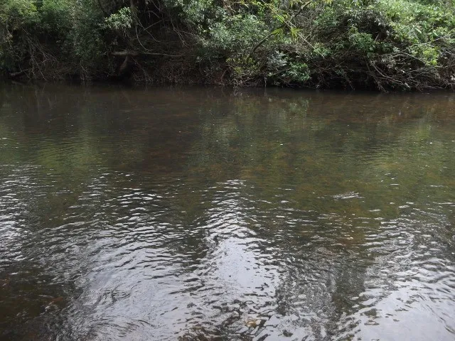 Imagem 13: Chácaras 1.000M² as Margens do Rio Cipó, com Água e Luz (Temos Varias Opções)