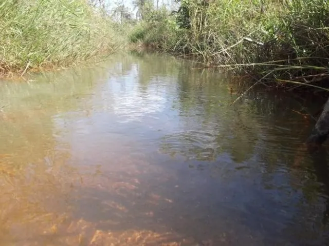 Imagem: Grande Oportunidade Terreno de 4 Ha Sem