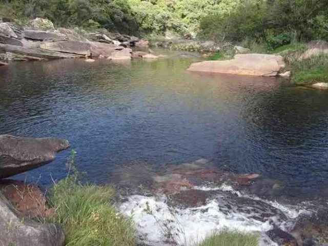 Imagem 4: Fazenda de 122 Ha, Nascente de Água Cristalina (Temos Varias Opções). Oportunidade Na