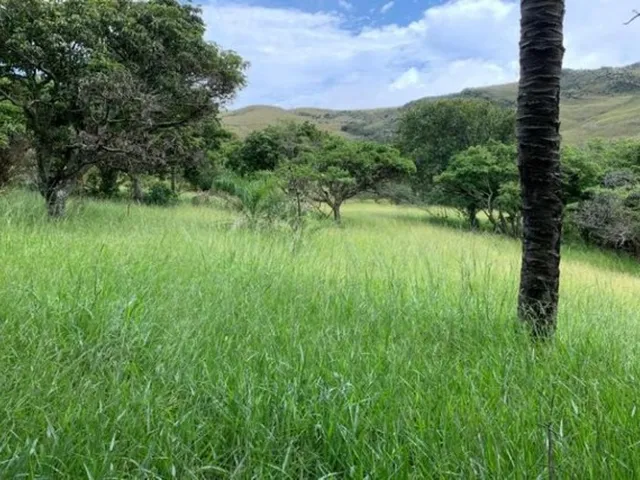 Imagem 9: Fazenda de 122 Ha, Nascente de Água Cristalina (Temos Varias Opções). Oportunidade Na