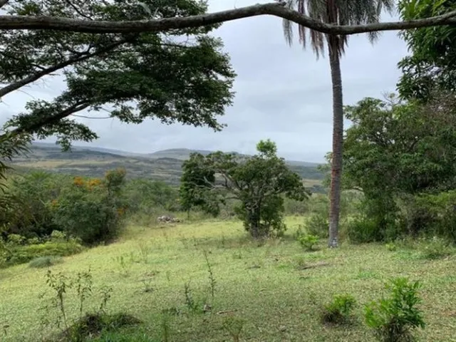 Imagem 2: Fazenda de 122 Ha, Nascente de Água Cristalina (Temos Varias Opções). Oportunidade Na
